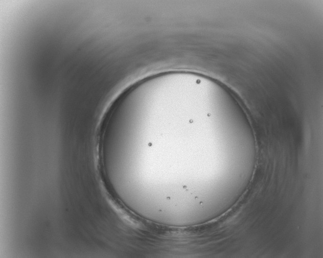 X0000069391511200605262103