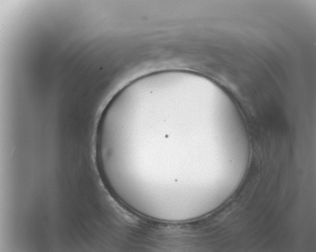 X0000069391512200605262103