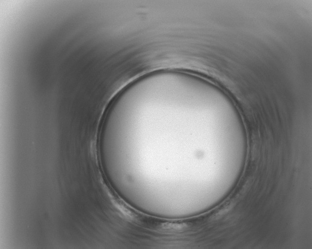 X0000069391513200605262103