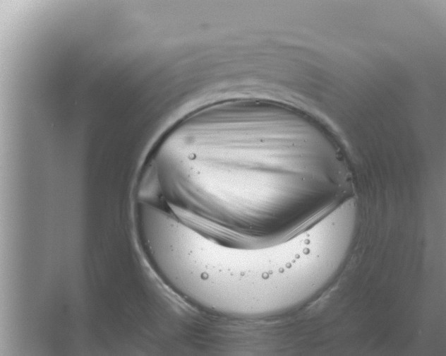 X0000069391514200605262103