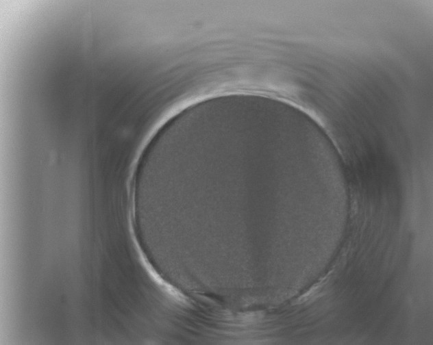 X0000069391515200605262103