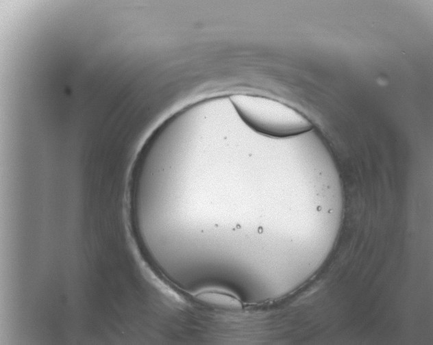 X0000069391518200605262103