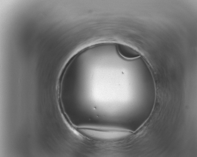 X0000069391519200605262103