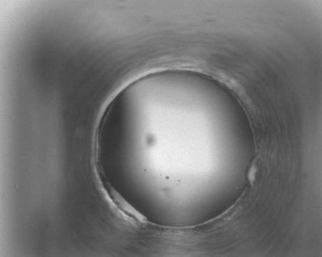 X0000069391520200605262103