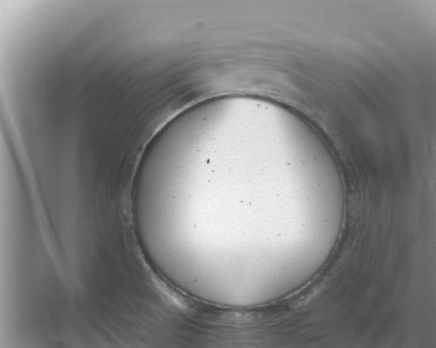 X0000069391521200605262103