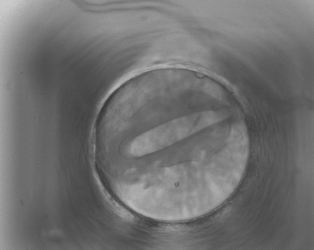 X0000069391522200605262103