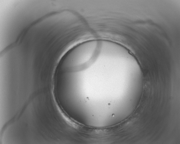 X0000069391523200605262103