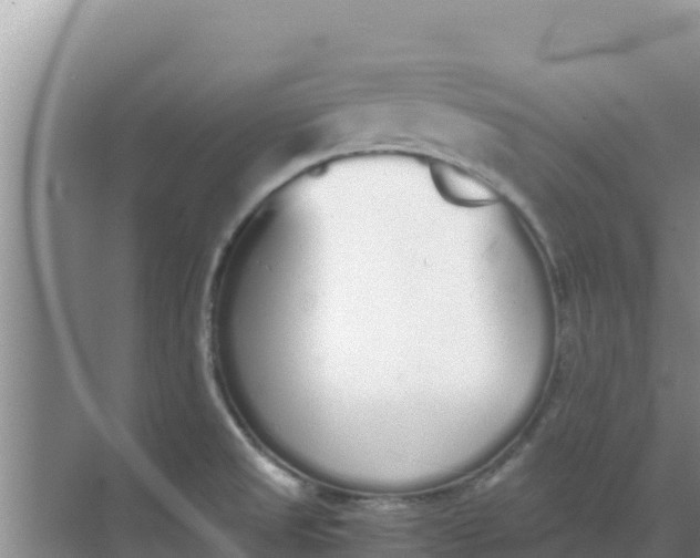 X0000069391525200605262103