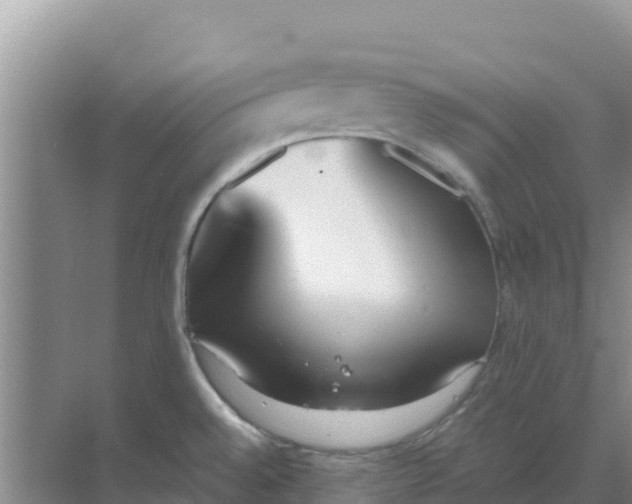 X0000069391528200605262103