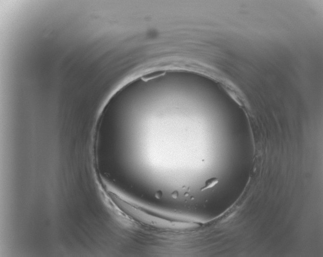 X0000069391530200605262103