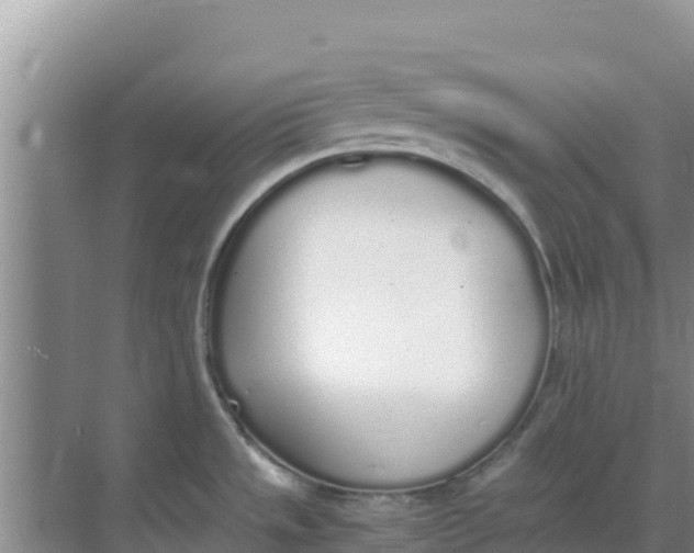 X0000069391533200605262103