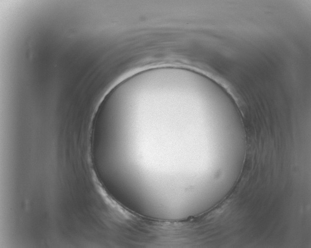 X0000069391534200605262103