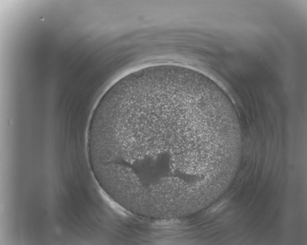 X0000069391535200605262103