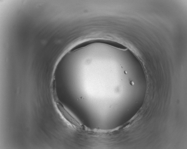 X0000069391536200605262103