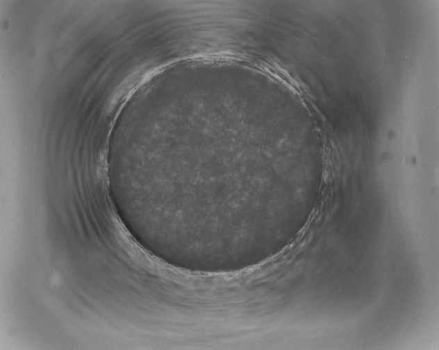 X0000069390002200606021643