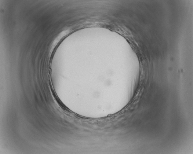 X0000069390003200606021643