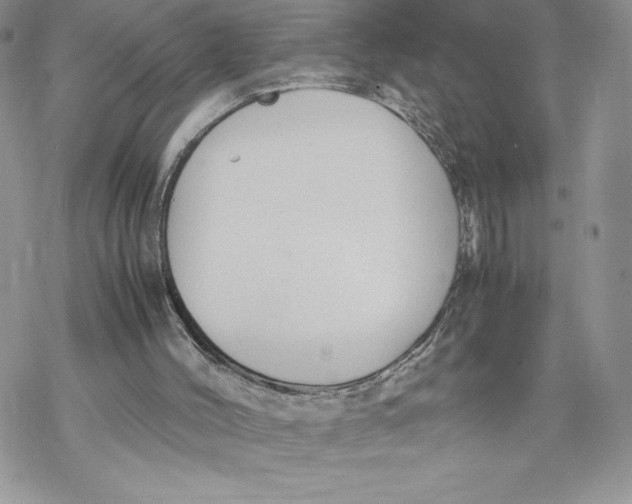 X0000069390004200606021643