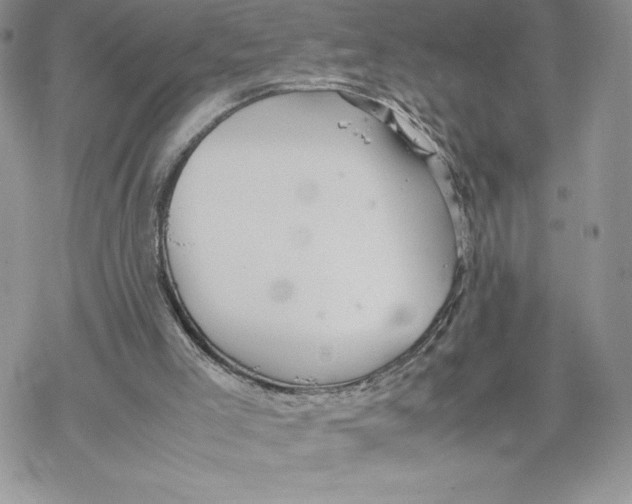 X0000069390005200606021643