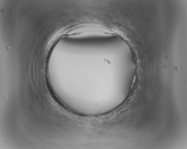 X0000069390007200606021643