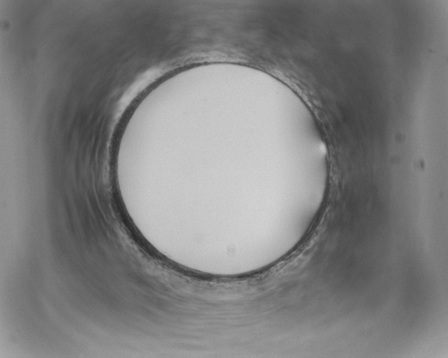 X0000069390008200606021643