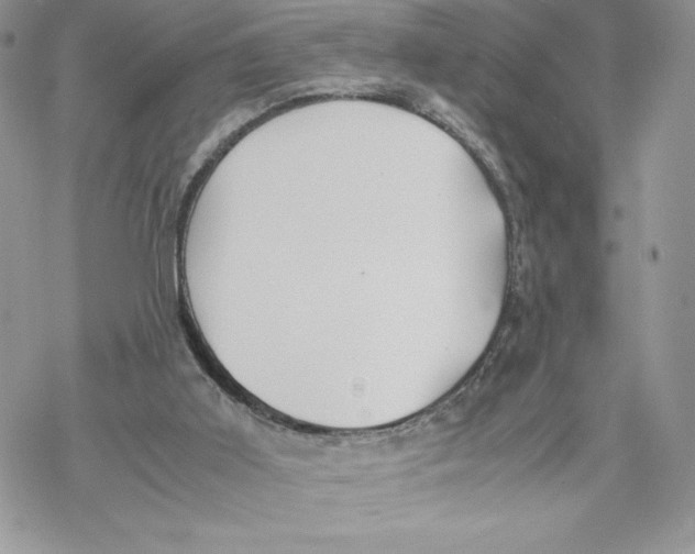 X0000069390011200606021643