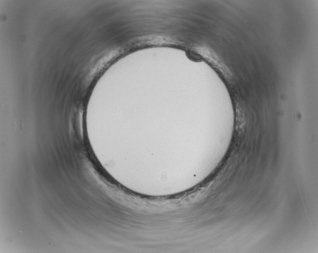 X0000069390014200606021643