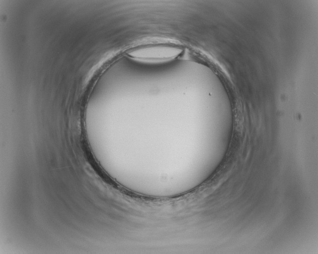 X0000069390015200606021643