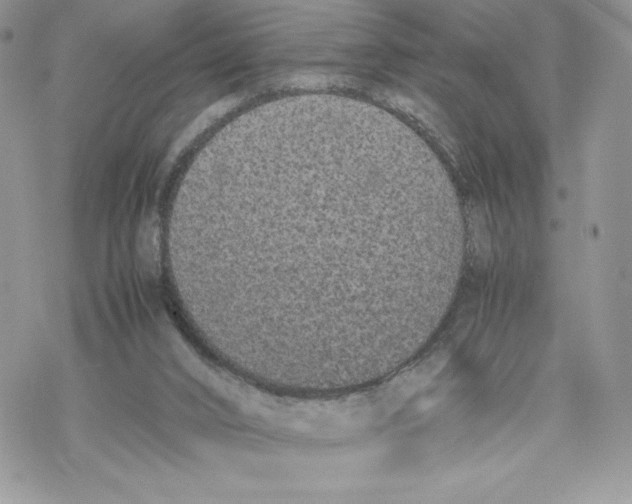 X0000069390016200606021643