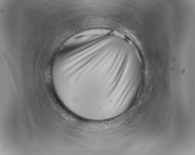 X0000069390017200606021643