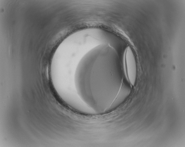 X0000069390019200606021643