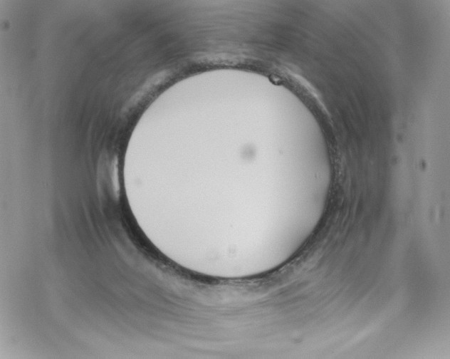 X0000069390020200606021643