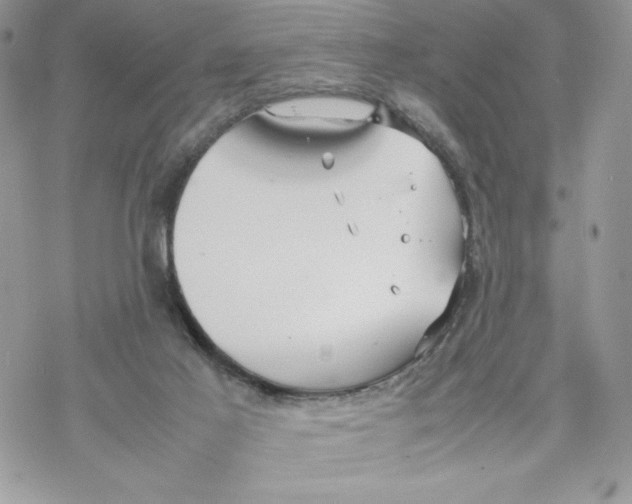 X0000069390021200606021643