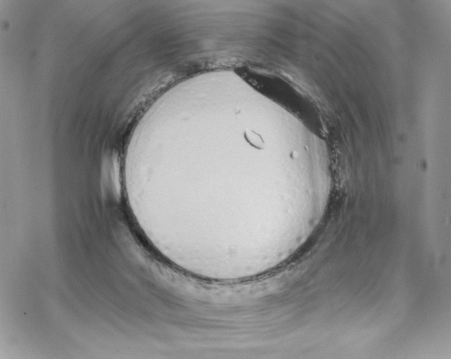 X0000069390022200606021643