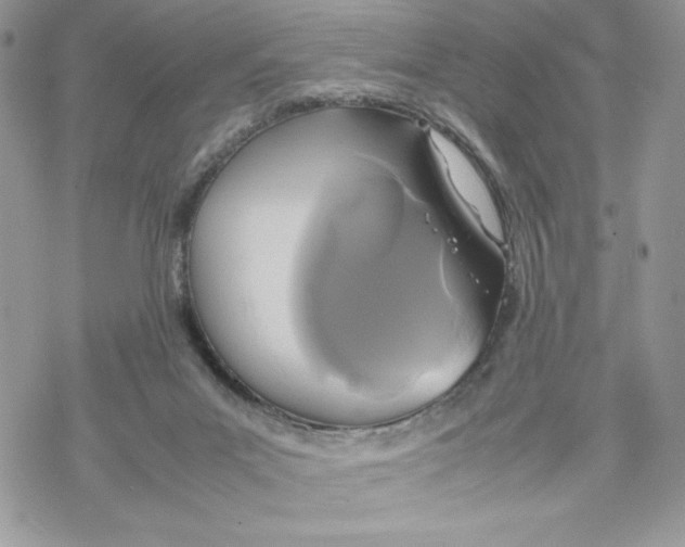 X0000069390023200606021643