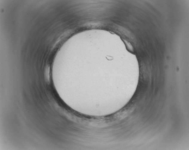 X0000069390024200606021643