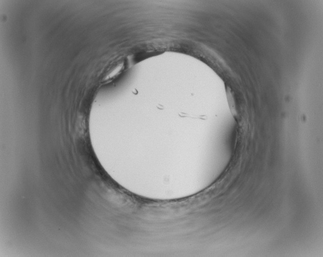 X0000069390025200606021643