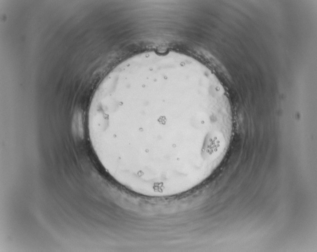 X0000069390026200606021643