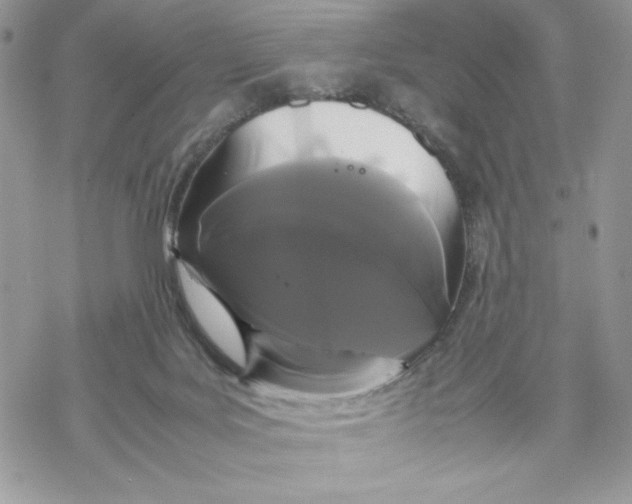 X0000069390027200606021643