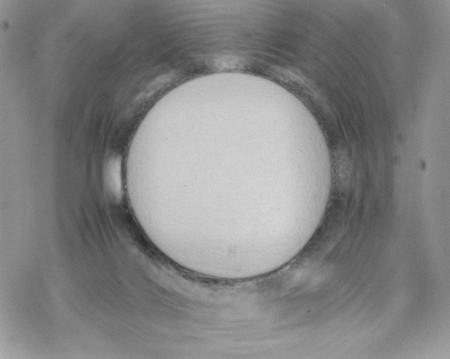 X0000069390028200606021643