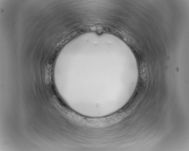 X0000069390030200606021643