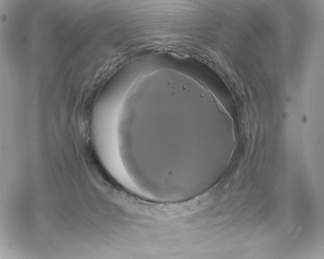 X0000069390031200606021643