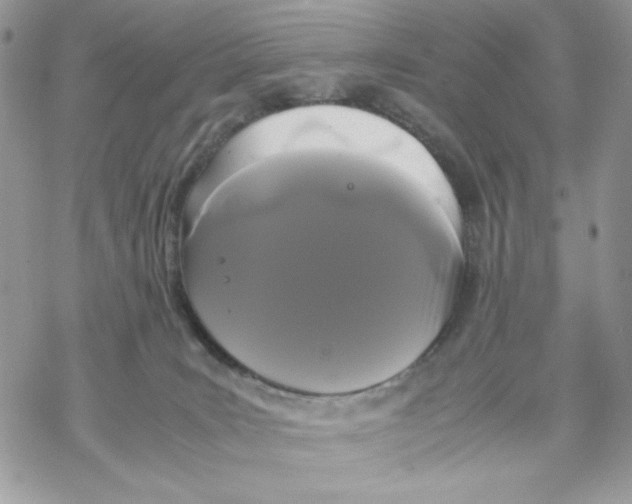 X0000069390035200606021643