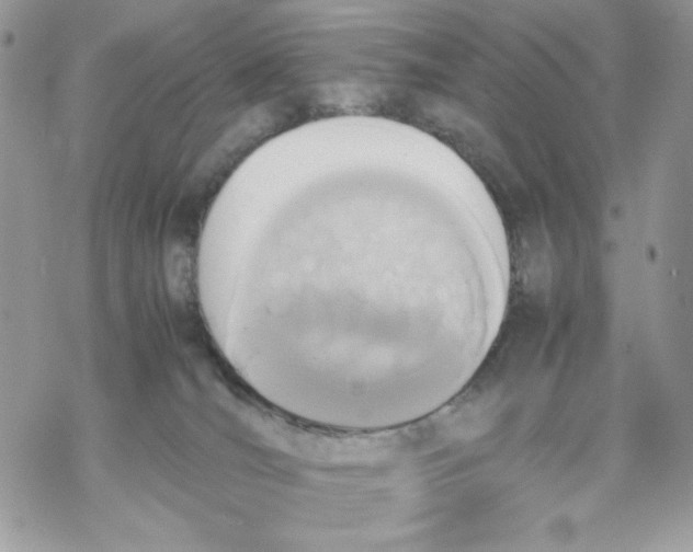 X0000069390036200606021643