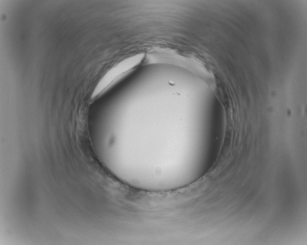 X0000069390037200606021643