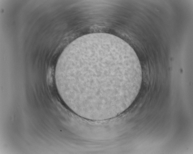 X0000069390038200606021643