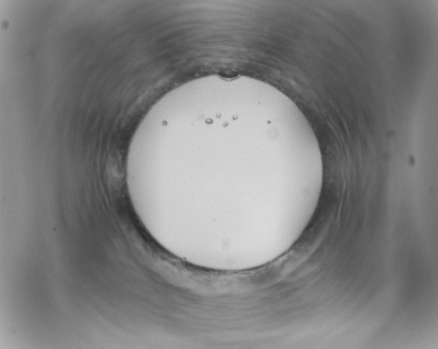 X0000069390040200606021643