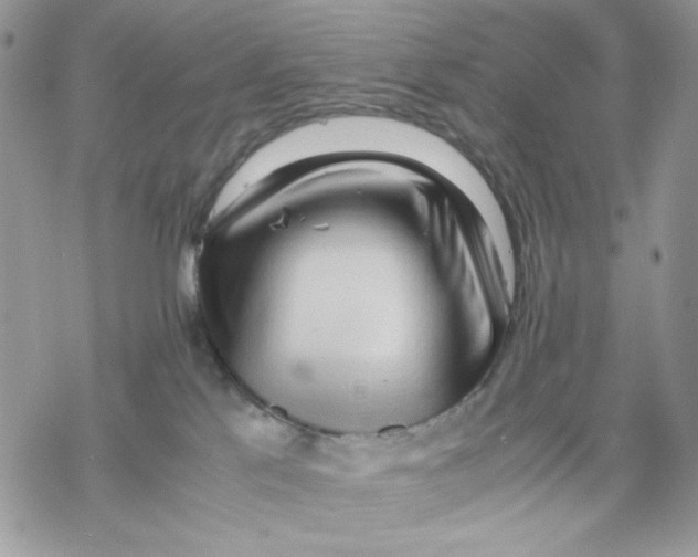 X0000069390041200606021643