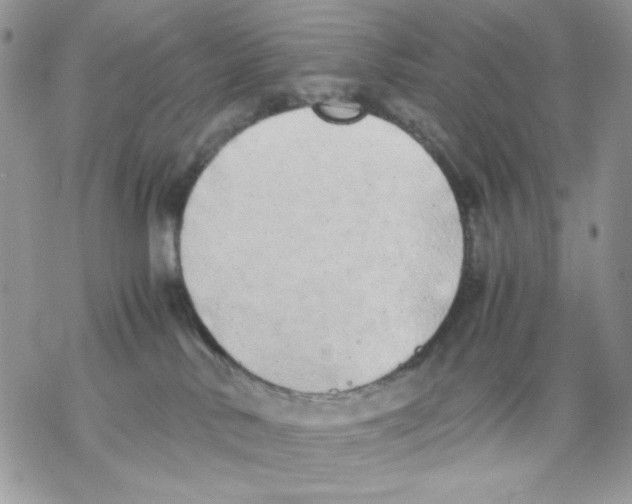 X0000069390042200606021642