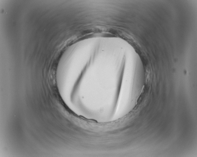 X0000069390043200606021642