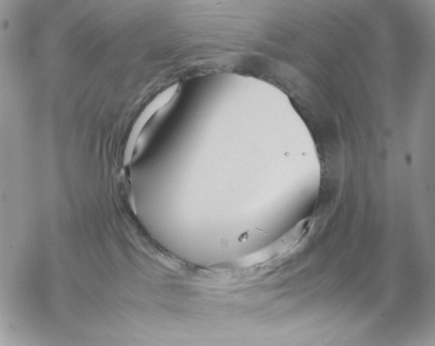 X0000069390045200606021642